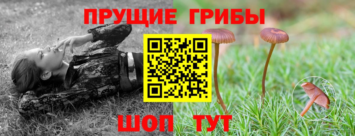 Рубцовск  Галлюциногенные грибы Magic Shrooms  Псилоцибиновые грибы Cubensis  Вход с VPN 